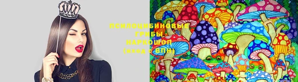 каннабис Дмитриев