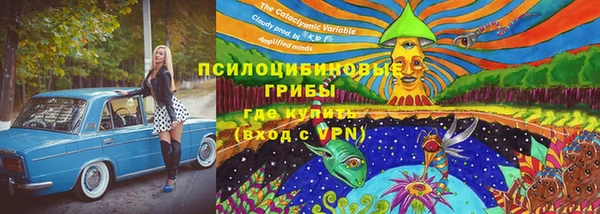 a pvp Дмитровск